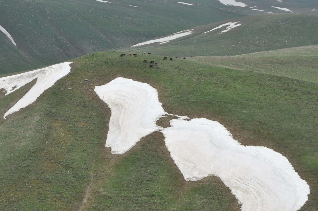 Селимский перевал, image of landscape/habitat.