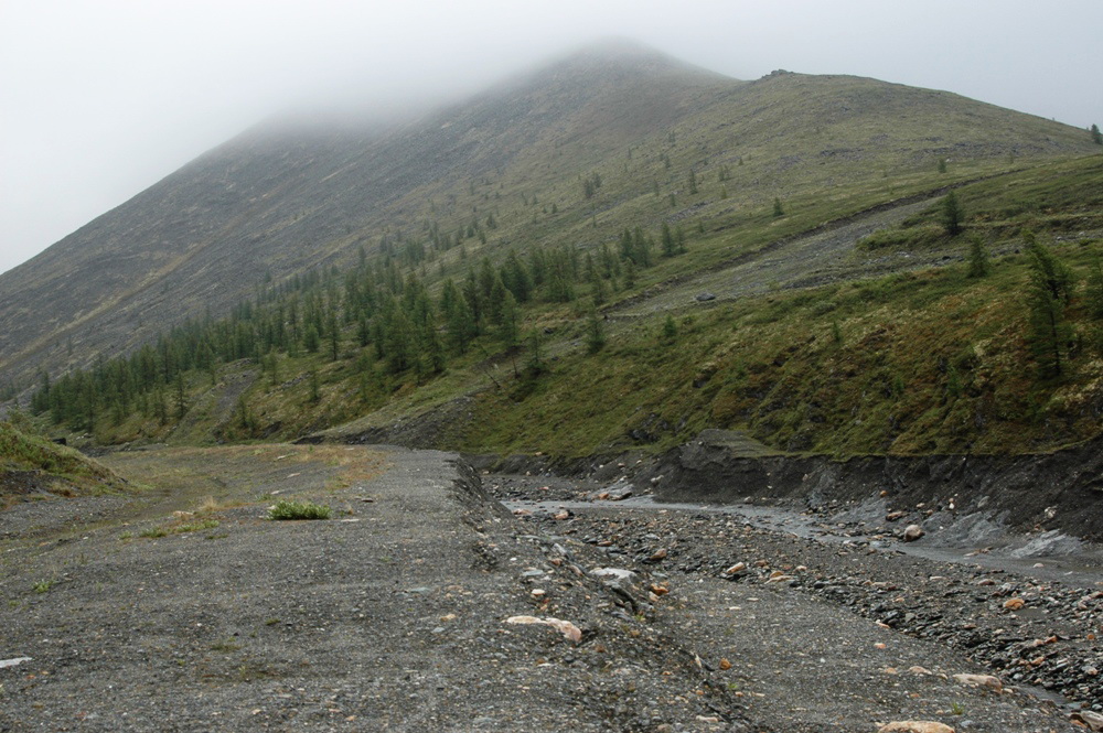 Ручей Южный, image of landscape/habitat.