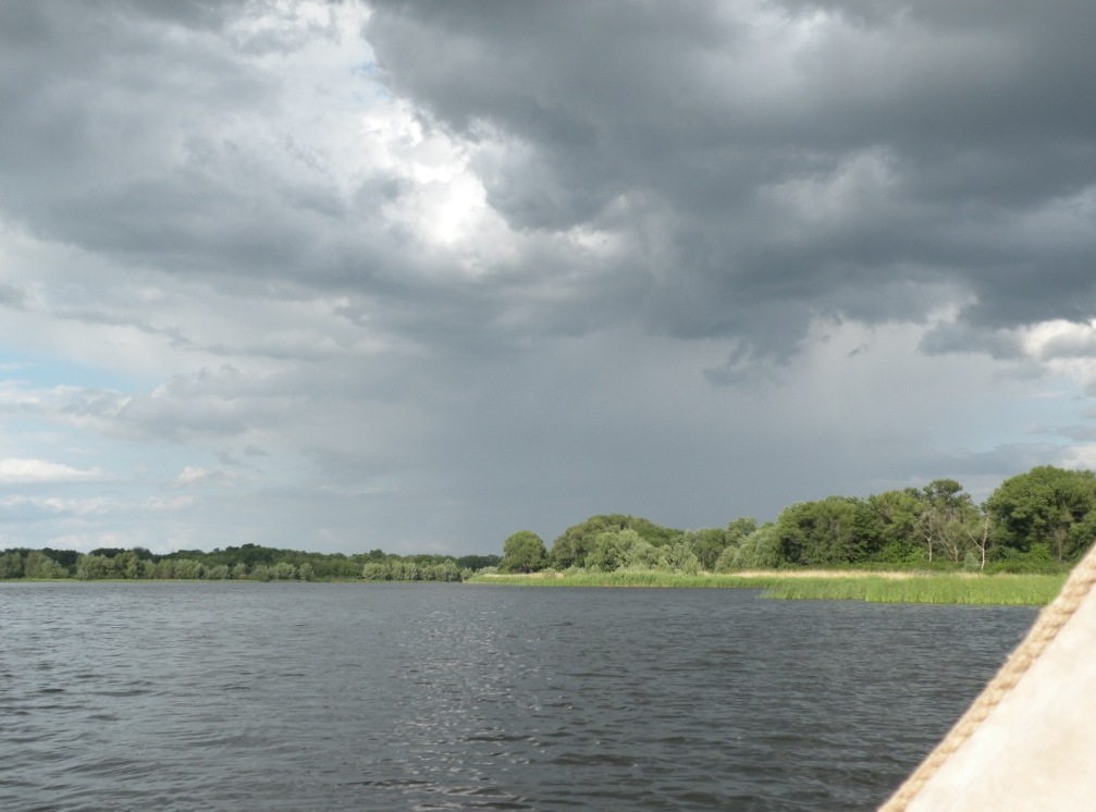 Куриловская пойма Днепра, изображение ландшафта.