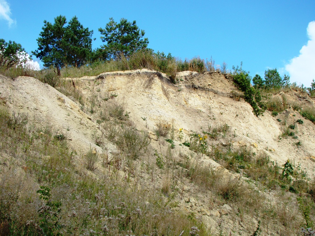 Максимовка, image of landscape/habitat.