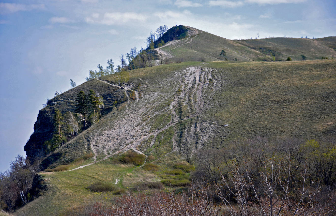 Молодецкий курган, image of landscape/habitat.