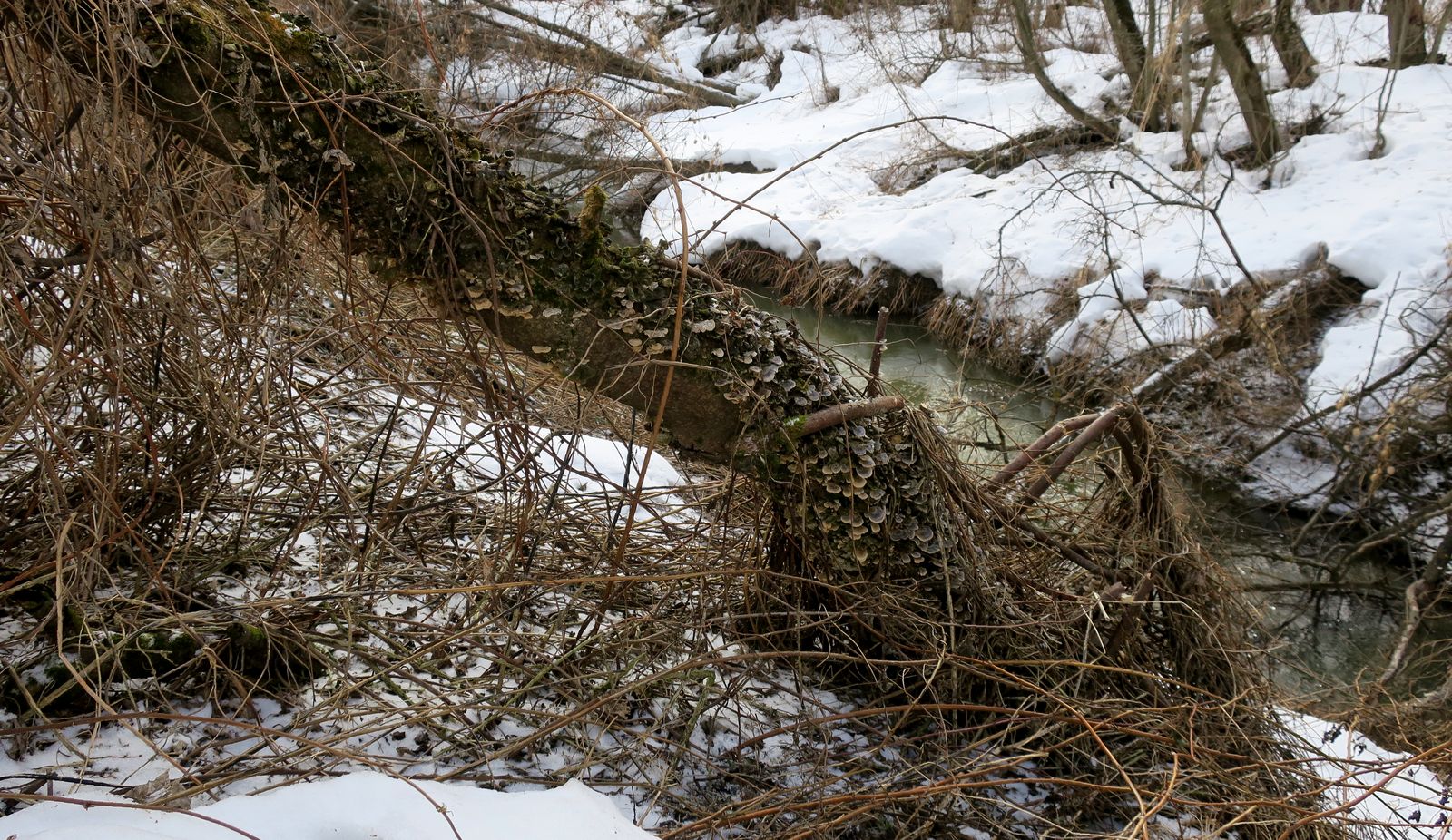 Малоярославец и окрестности, image of landscape/habitat.