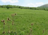 Урочище Аян, image of landscape/habitat.