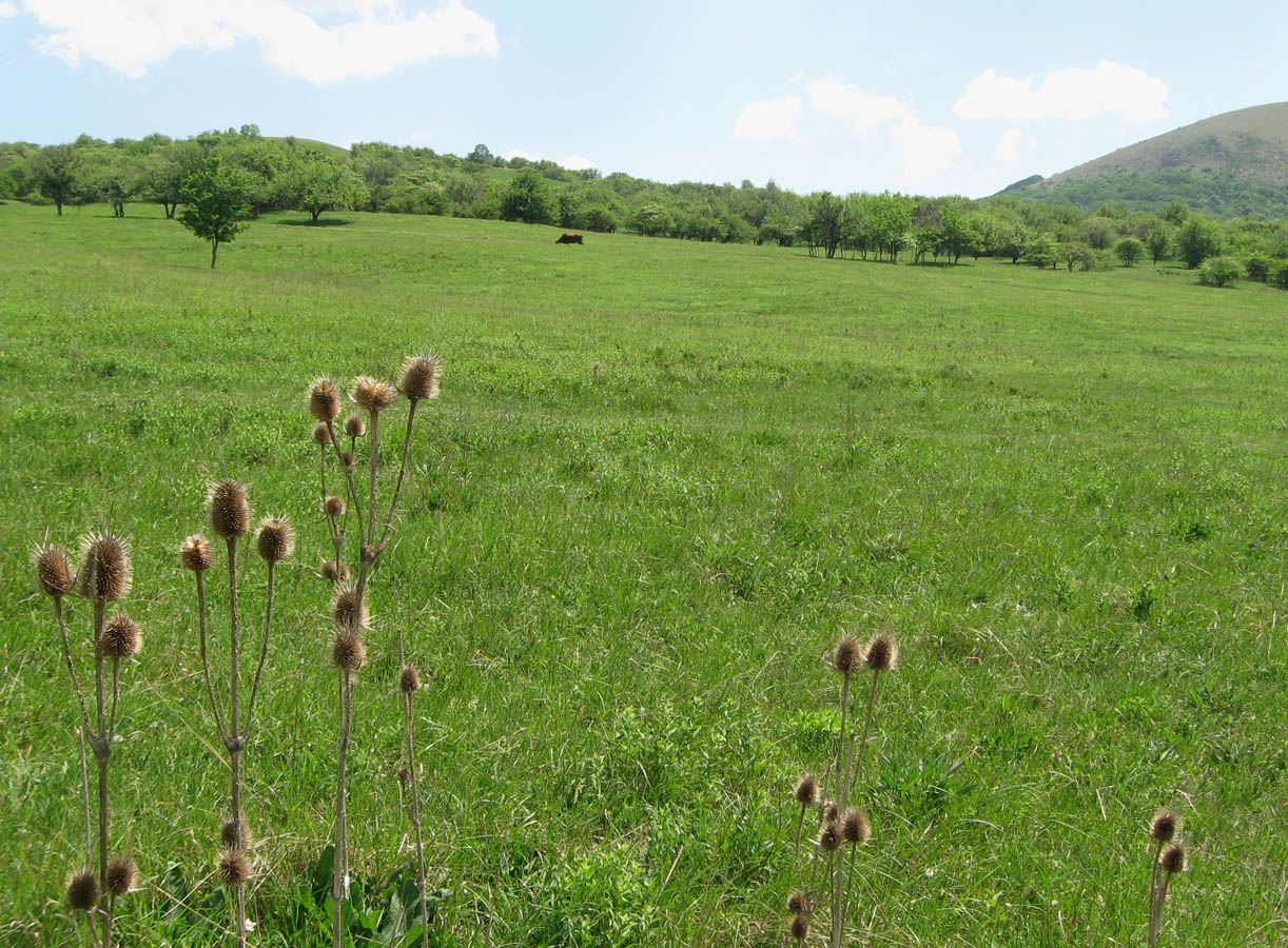 Урочище Аян, image of landscape/habitat.