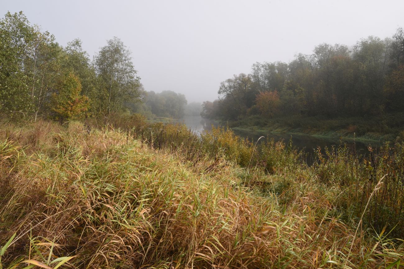 Окрестности устья ручья Исьма, image of landscape/habitat.
