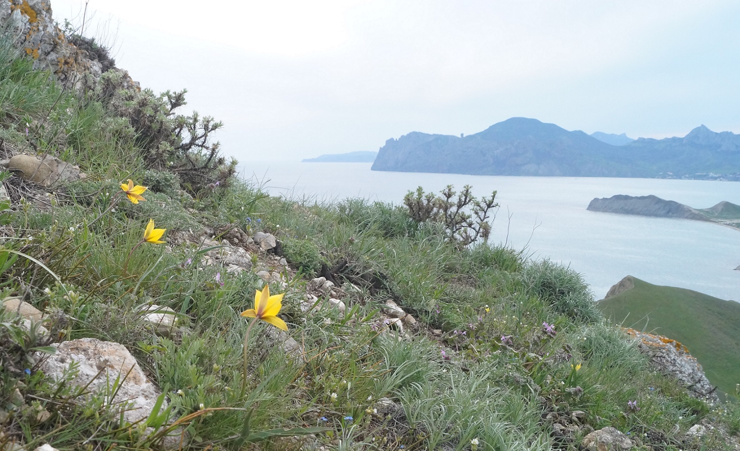 Енишарские горы, image of landscape/habitat.