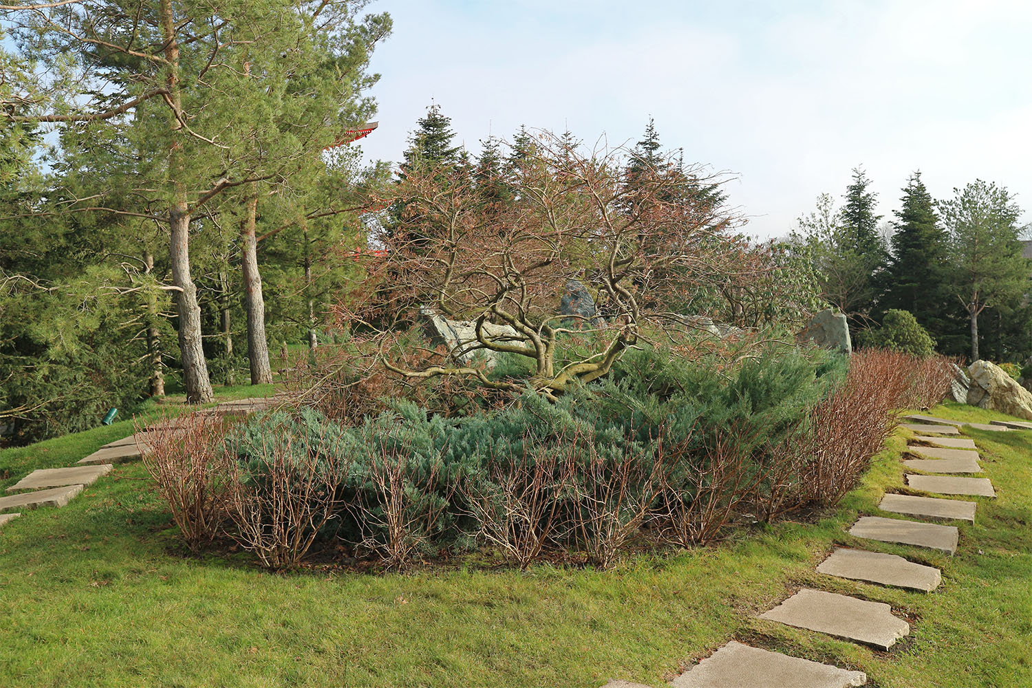 Японский сад в парке Галицкого, image of landscape/habitat.