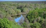 Брянск, image of landscape/habitat.