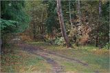 Image of landscape