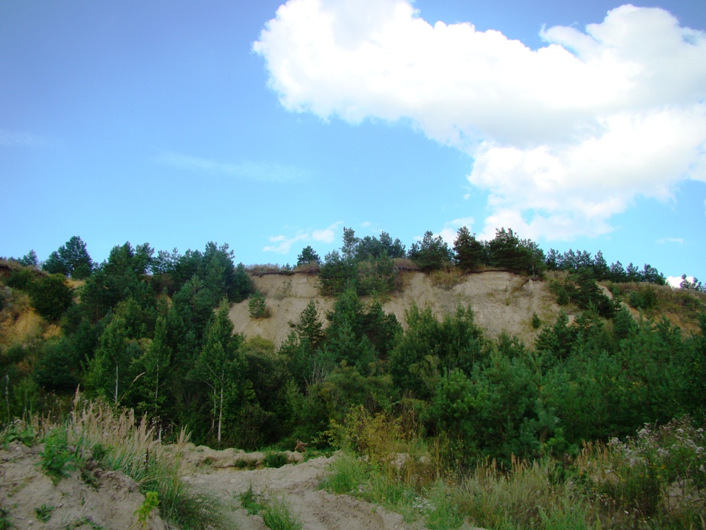 Максимовка, image of landscape/habitat.