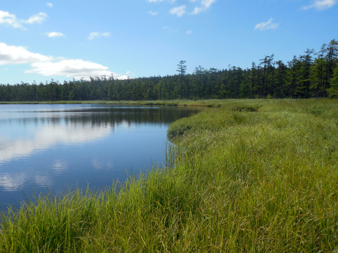 Озеро Таёжное, image of landscape/habitat.