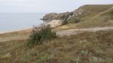 Image of landscape