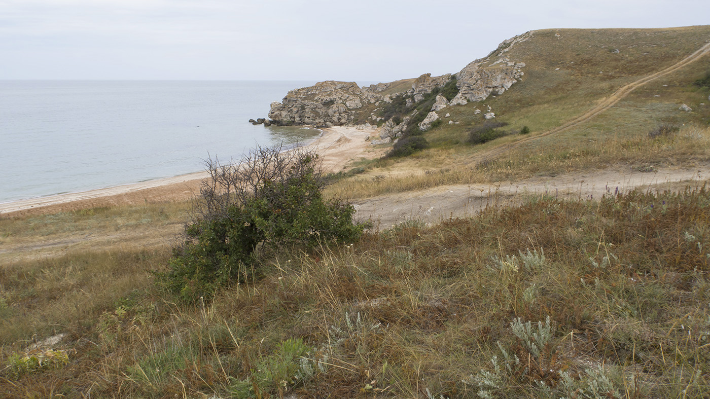 Генеральские пляжи, image of landscape/habitat.