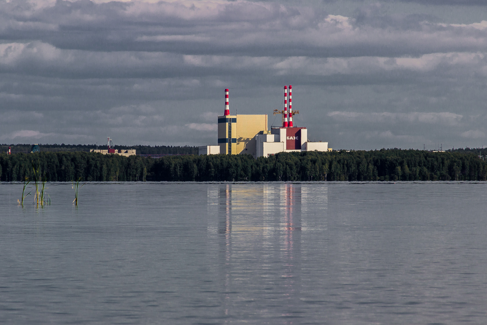 Черемшанское болото, image of landscape/habitat.