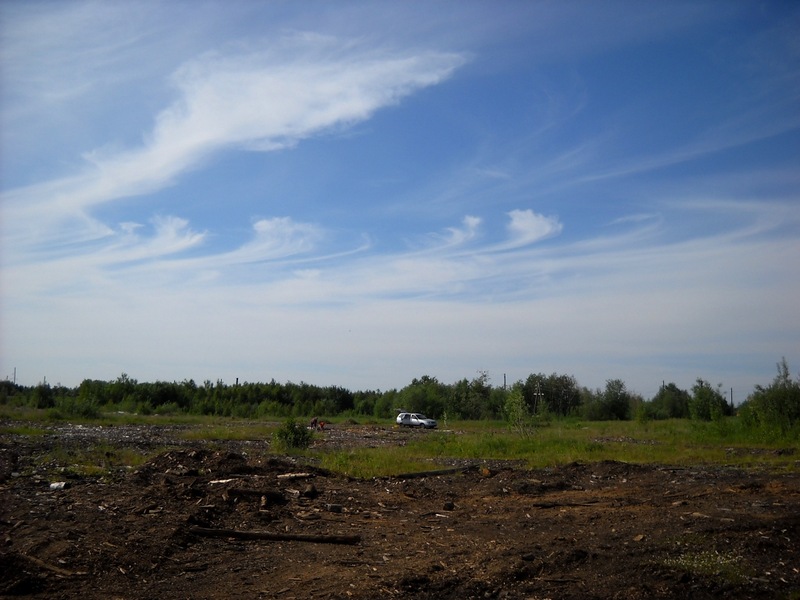 Печорский Лесокомбинат, image of landscape/habitat.