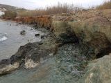 Image of landscape