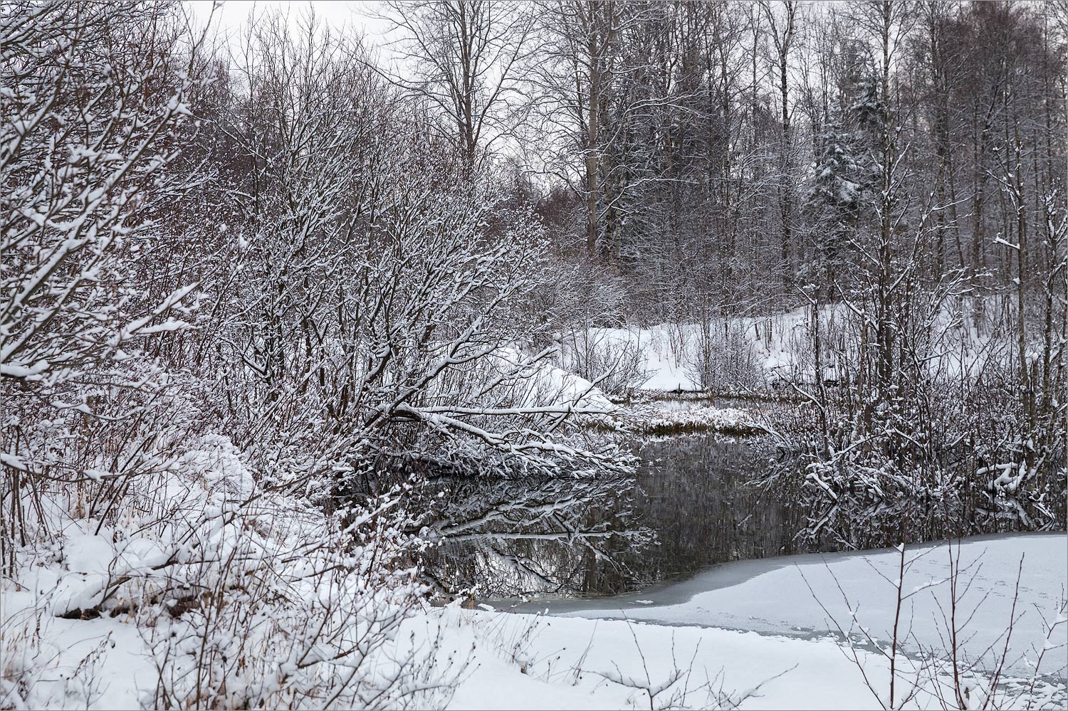 Истоки Шингарки, image of landscape/habitat.