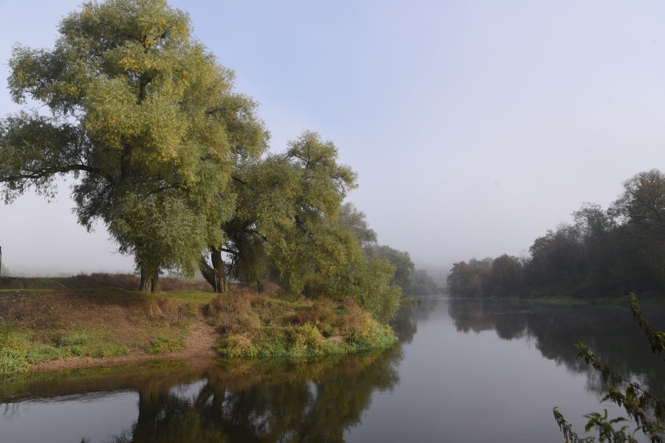 Окрестности устья ручья Исьма, изображение ландшафта.