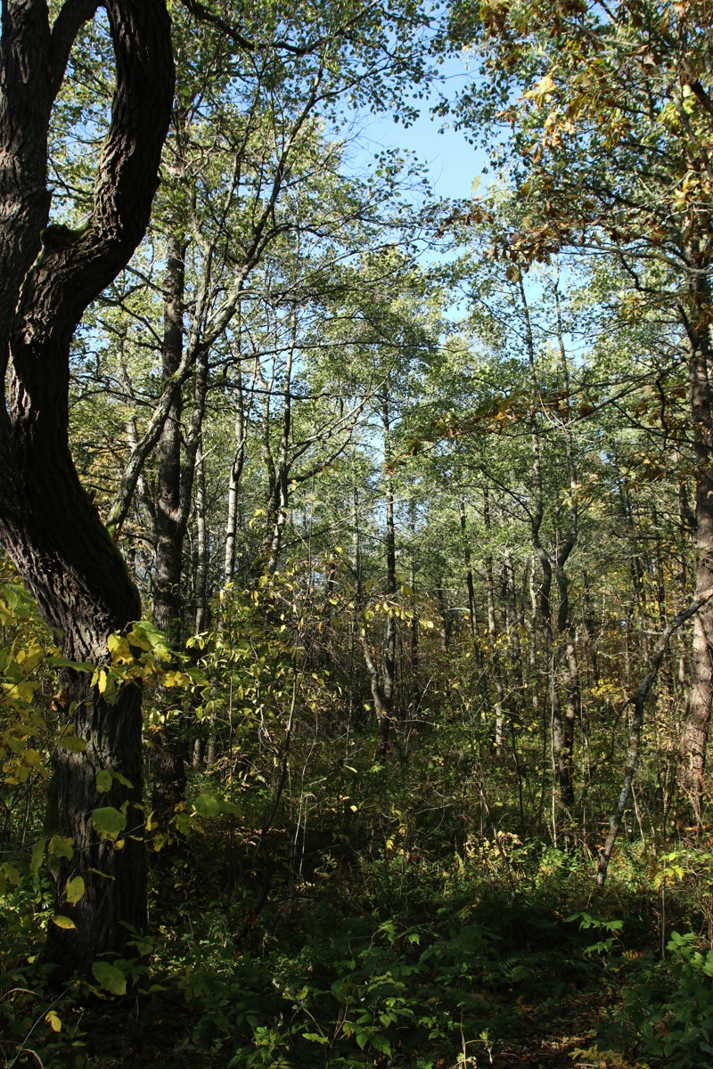 Каравалдай, image of landscape/habitat.