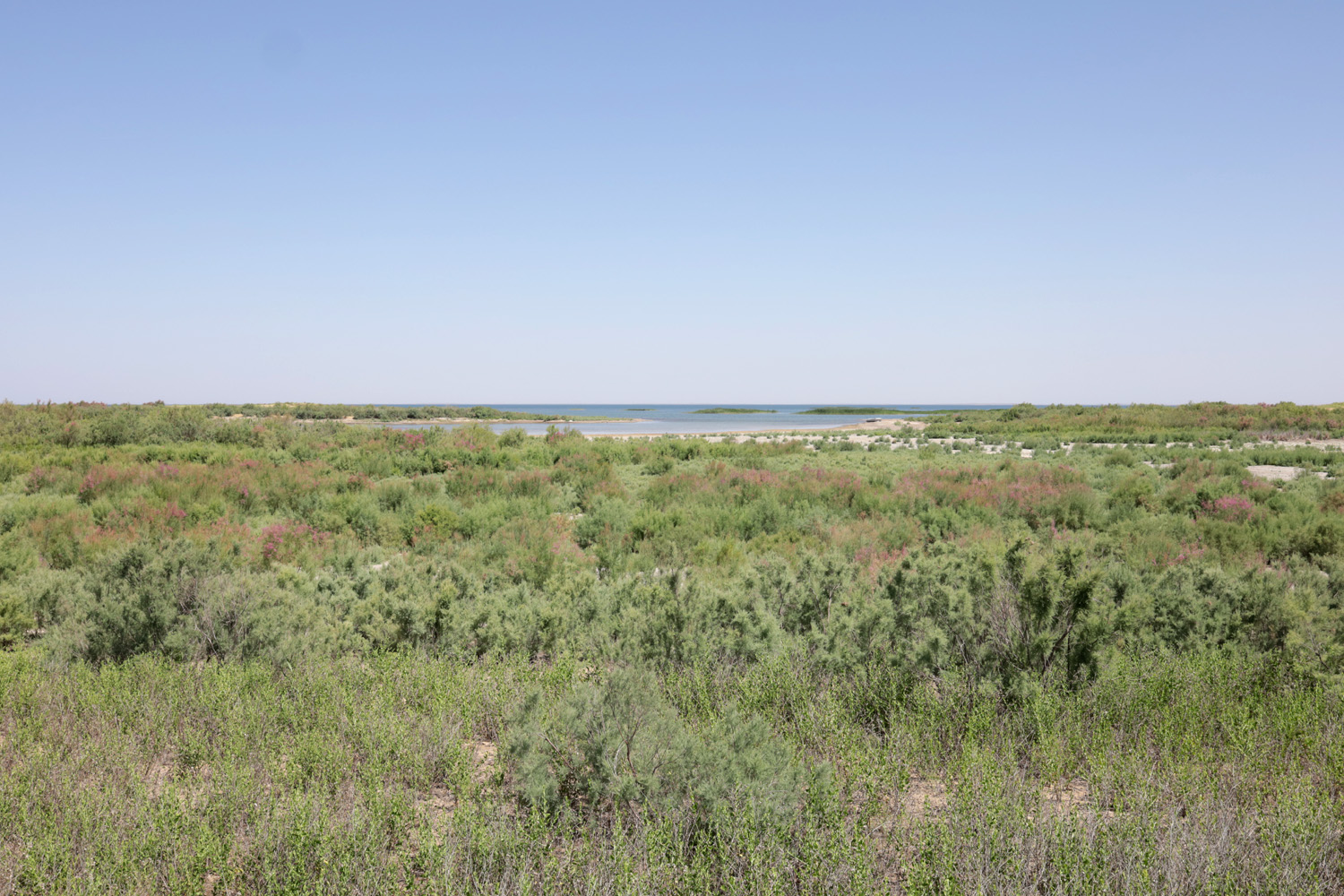 Озеро Айдаркуль, image of landscape/habitat.