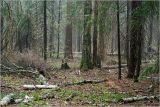 Image of landscape