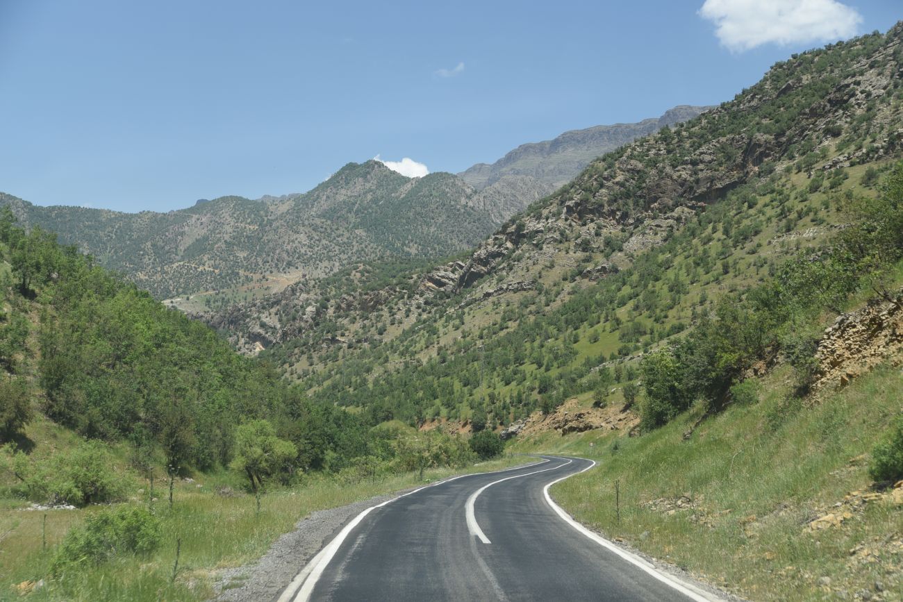 Устье Гали-Гарах-Мюса, image of landscape/habitat.