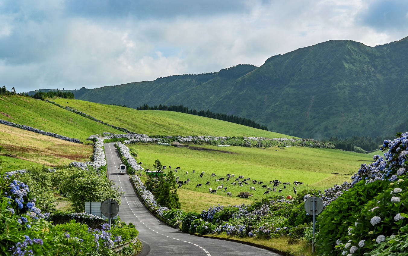 Сети-Сидадиш, image of landscape/habitat.