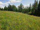 Image of landscape