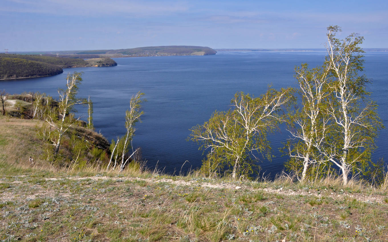 Молодецкий курган, image of landscape/habitat.