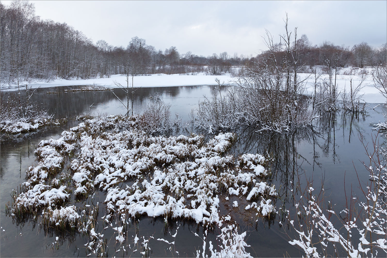 Истоки Шингарки, image of landscape/habitat.