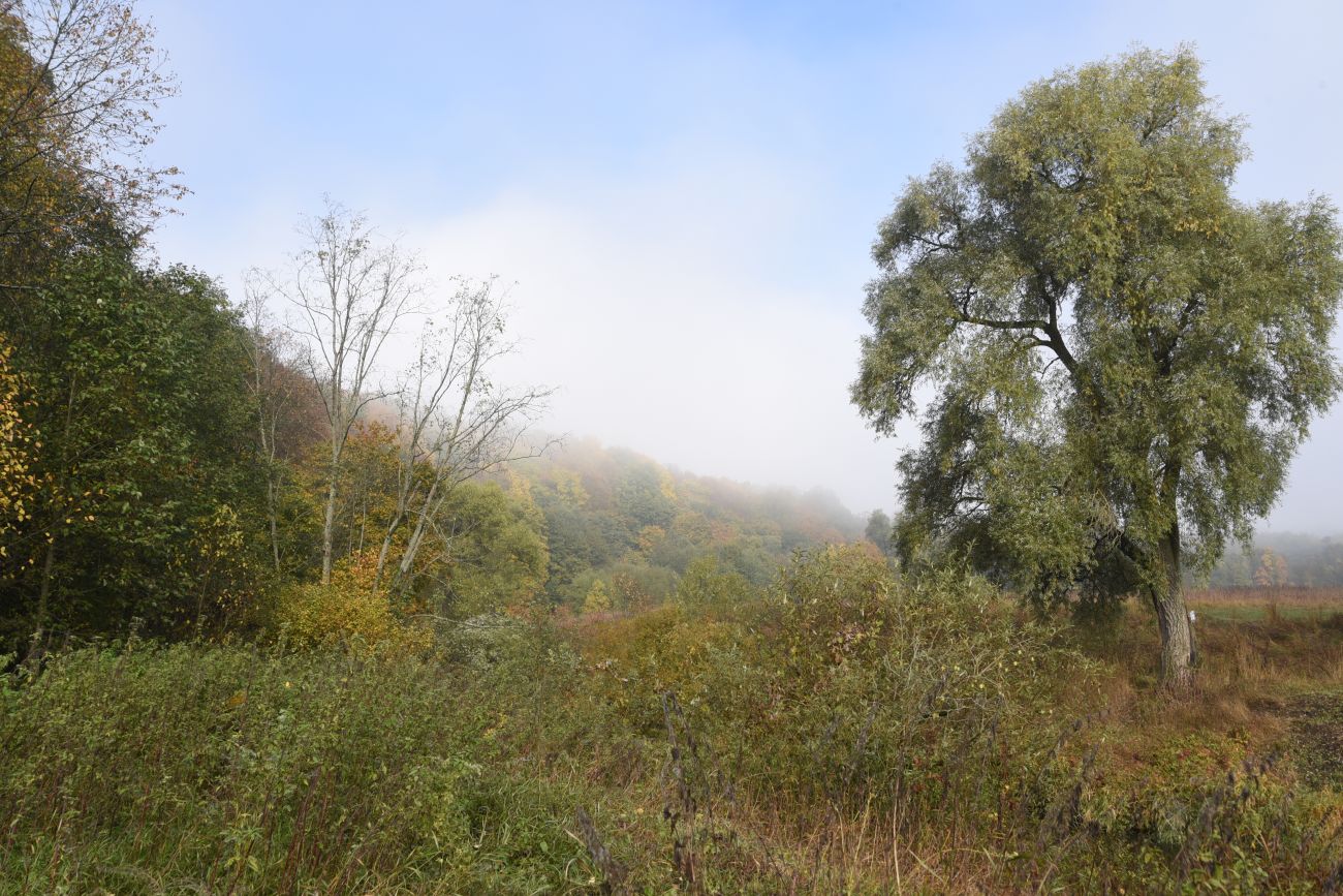 Окрестности устья ручья Исьма, image of landscape/habitat.