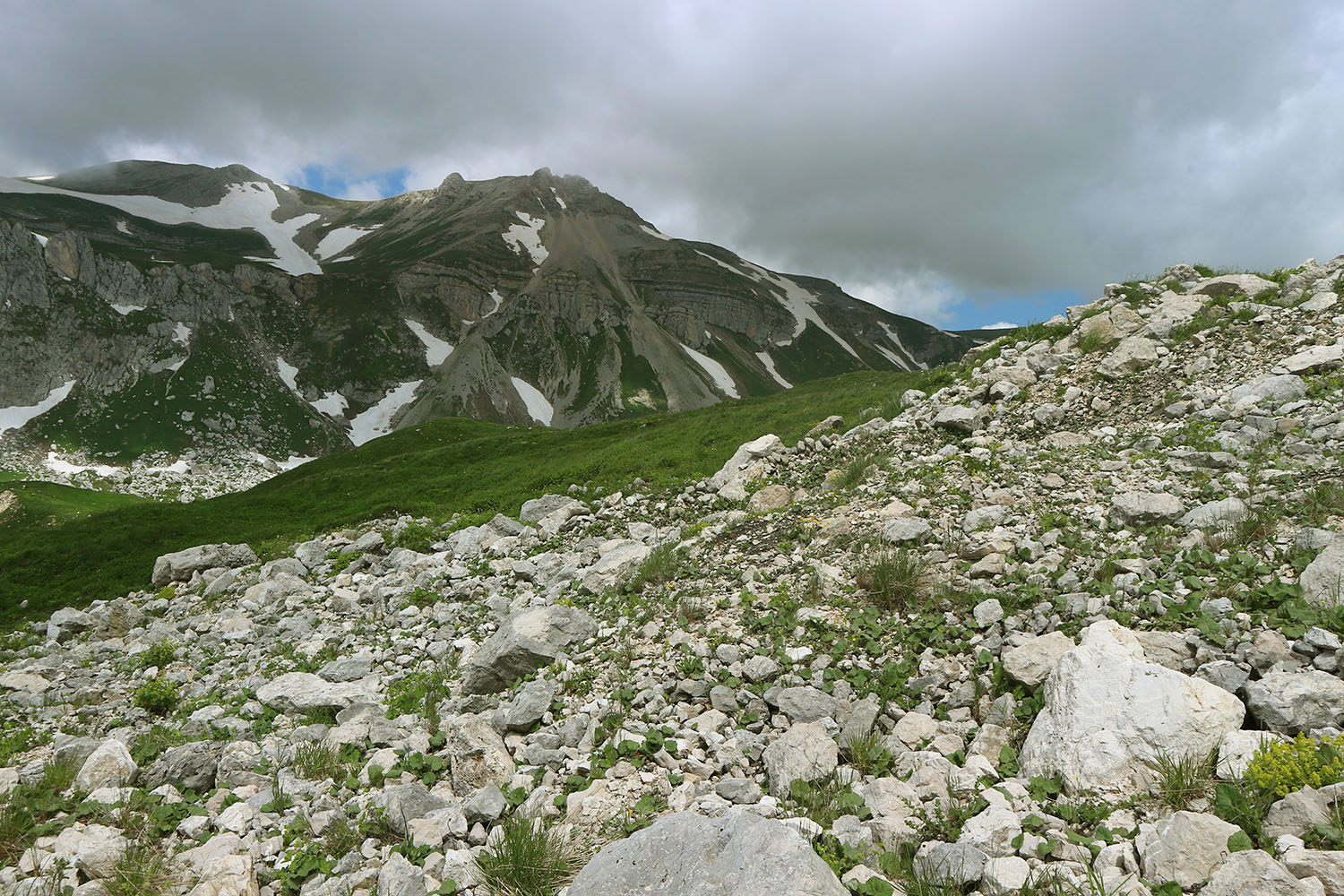 Южный склон горы Гузерипль, image of landscape/habitat.