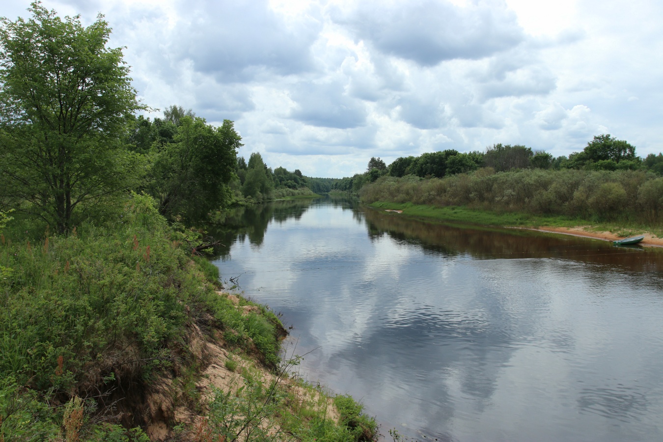 Луга у Кемки, image of landscape/habitat.