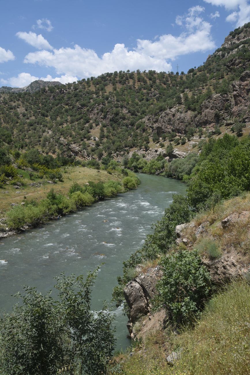 Устье Гали-Гарах-Мюса, image of landscape/habitat.