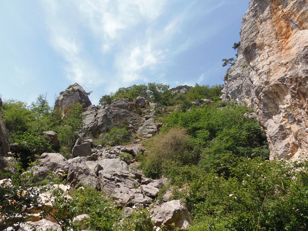 Никитская расселина, изображение ландшафта.