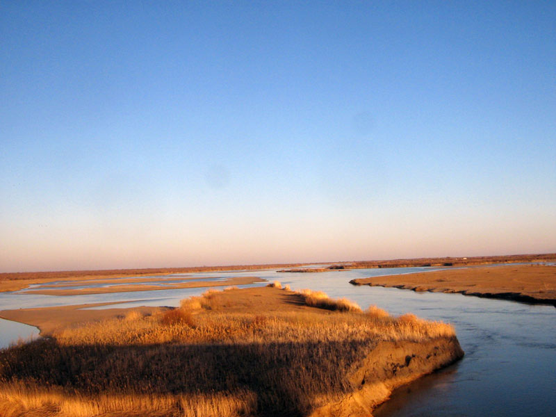 Пески Таукум, image of landscape/habitat.