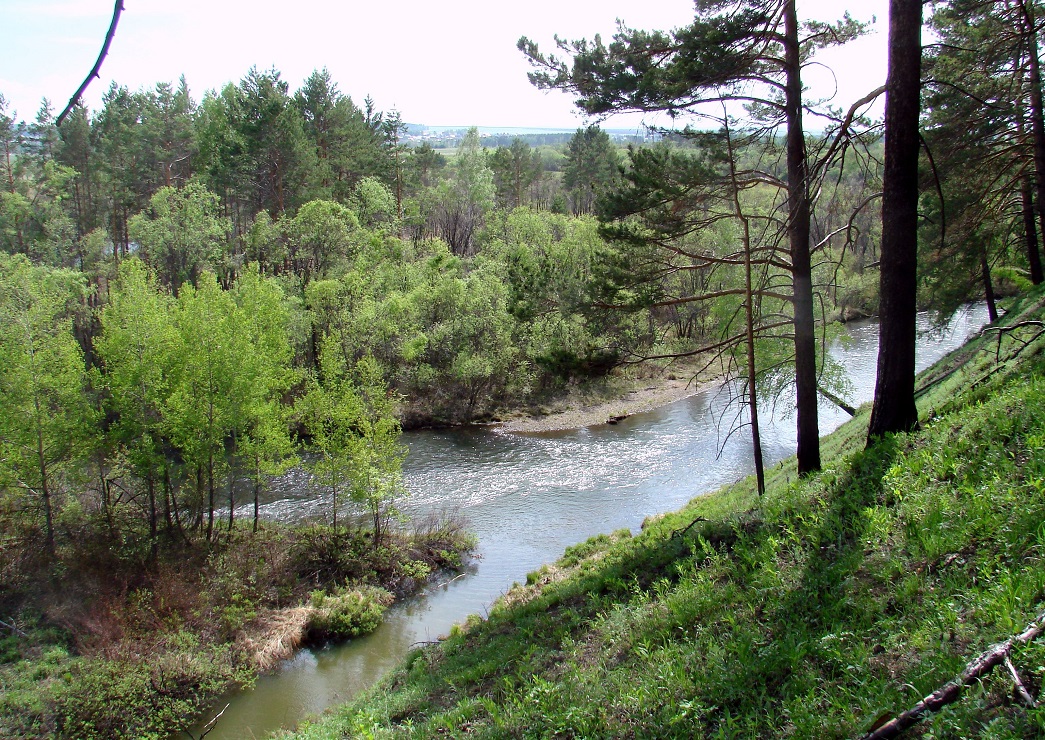 Окрестности Пивоварихи, image of landscape/habitat.