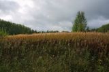 Григорьевское, image of landscape/habitat.