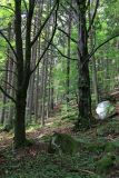 Image of landscape
