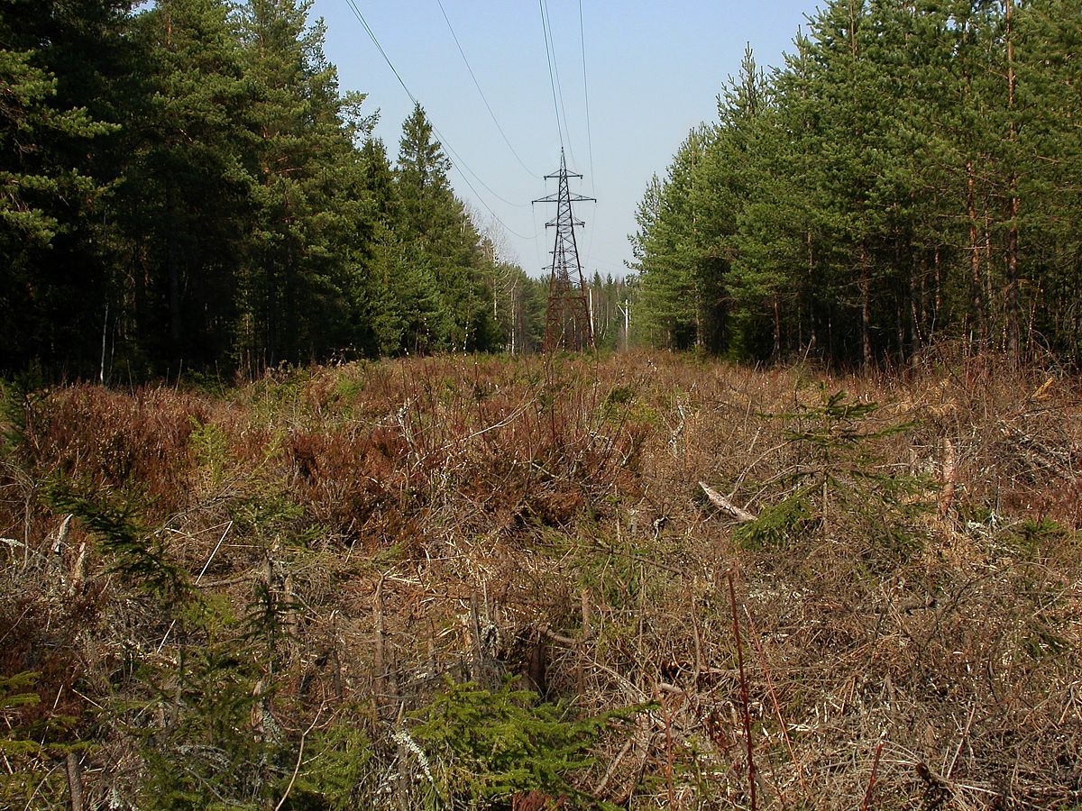 Песочный, image of landscape/habitat.