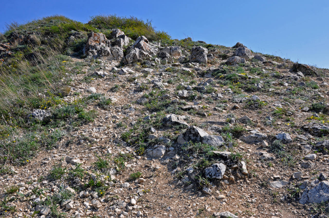 Молодецкий курган, image of landscape/habitat.