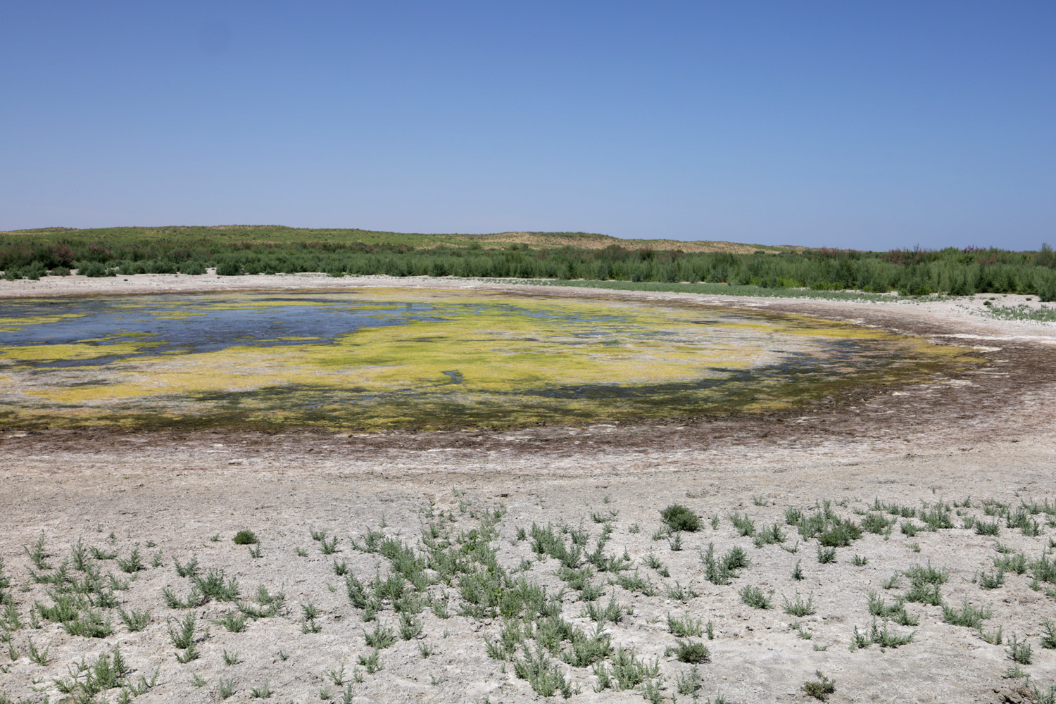 Озеро Айдаркуль, image of landscape/habitat.