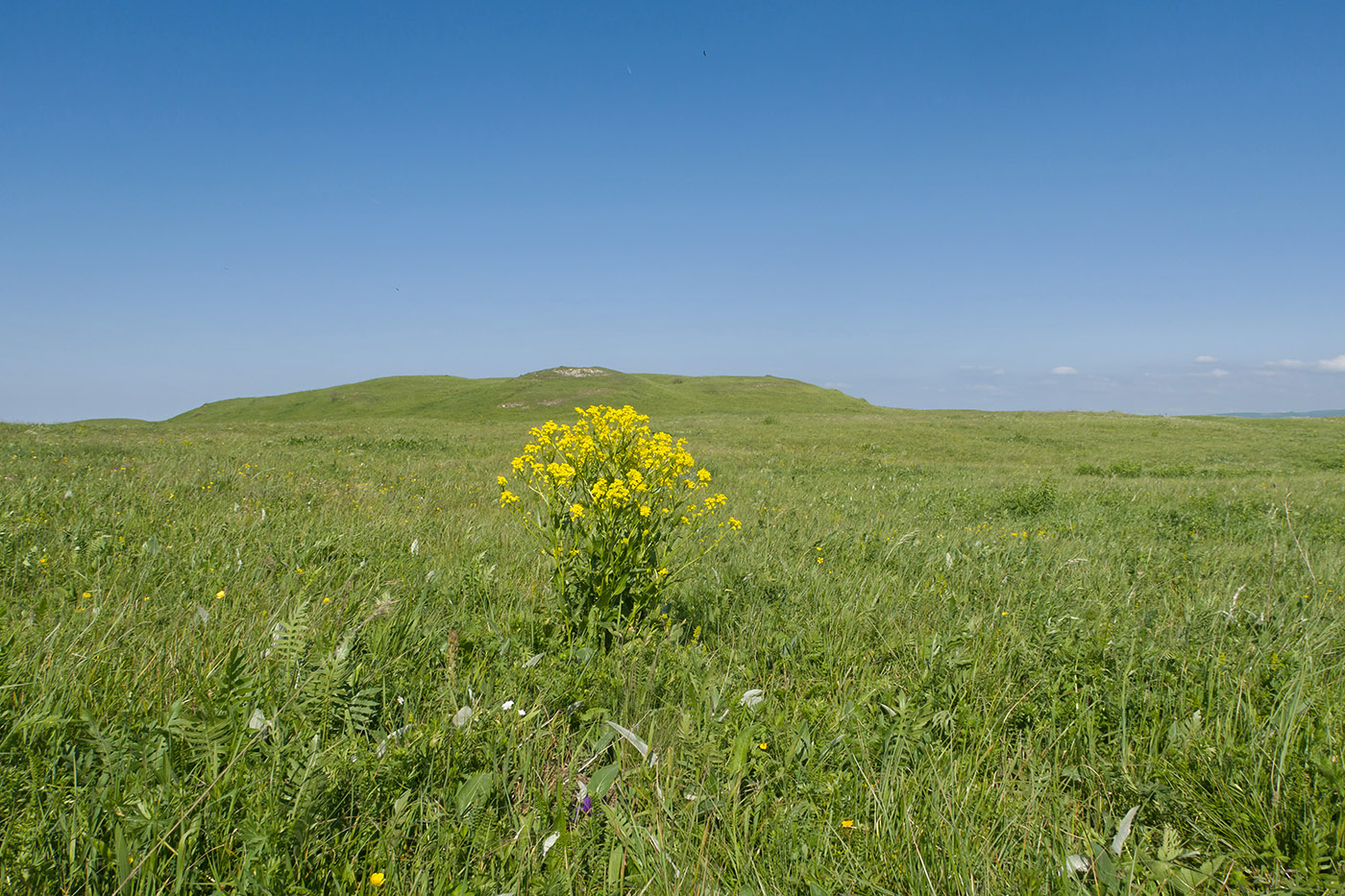 Скала Джегута, image of landscape/habitat.