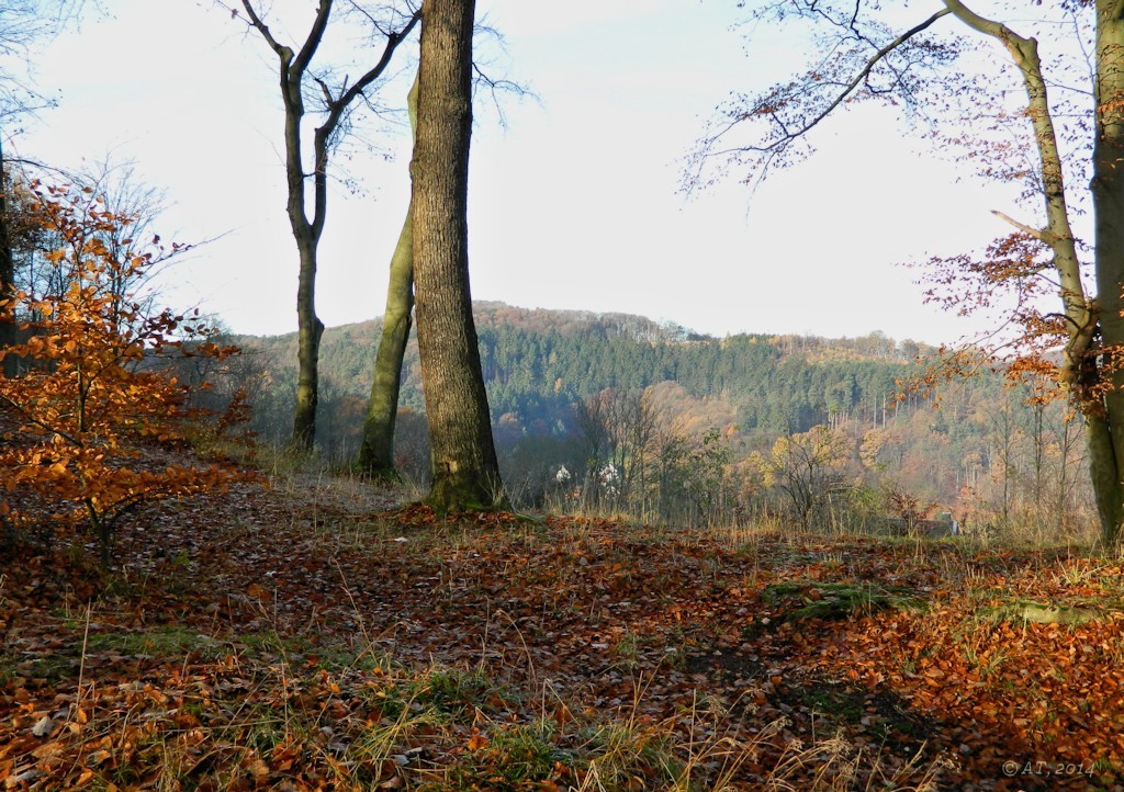 Хоенлимбург, image of landscape/habitat.