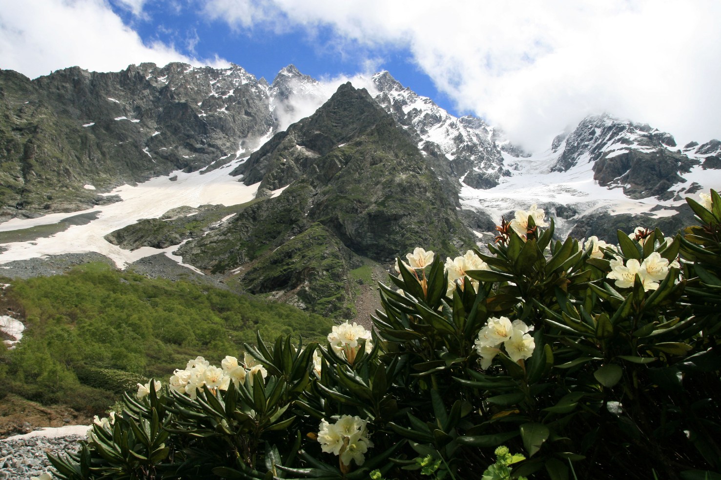 Архыз. Долина реки Псыш, image of landscape/habitat.