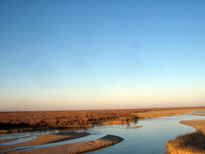 Пески Таукум, image of landscape/habitat.
