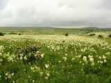 Image of landscape