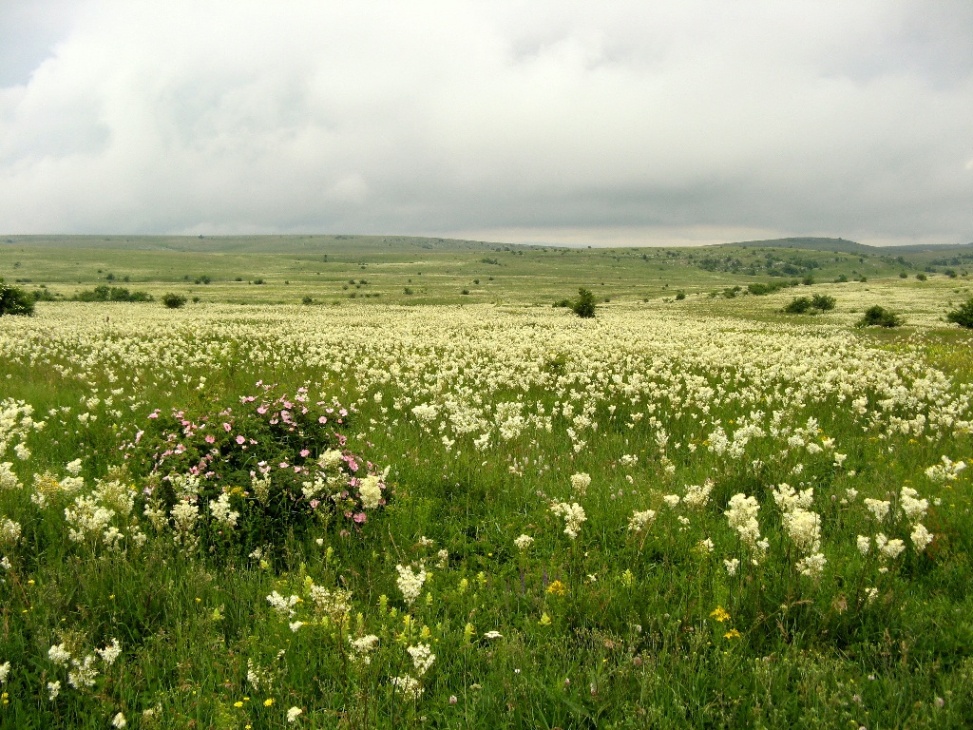 Долгоруковская яйла, image of landscape/habitat.