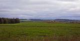 Григорьевское, image of landscape/habitat.