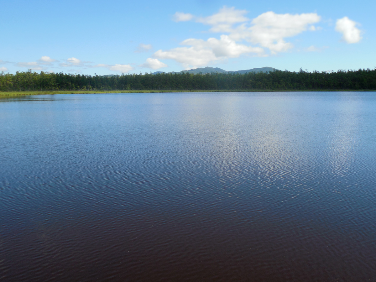 Озеро Таёжное, image of landscape/habitat.